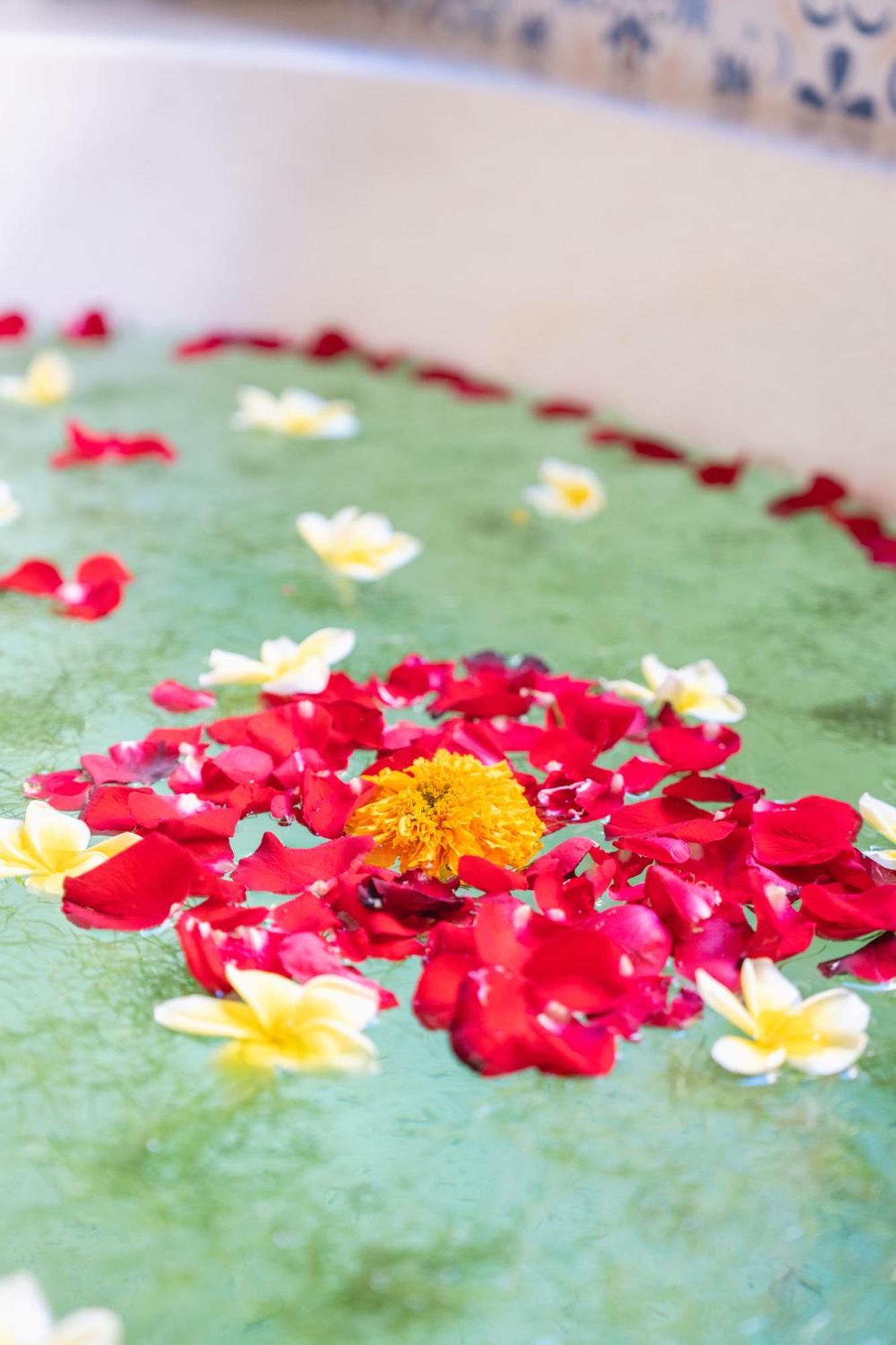 The Compass Rose Ubud Exterior foto